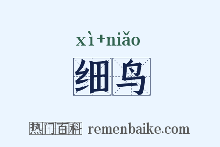 细鸟是什么意思的图片